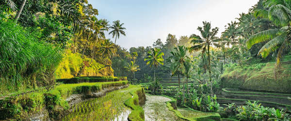 Bali skyline
